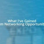 What I’ve Gained from Networking Opportunities