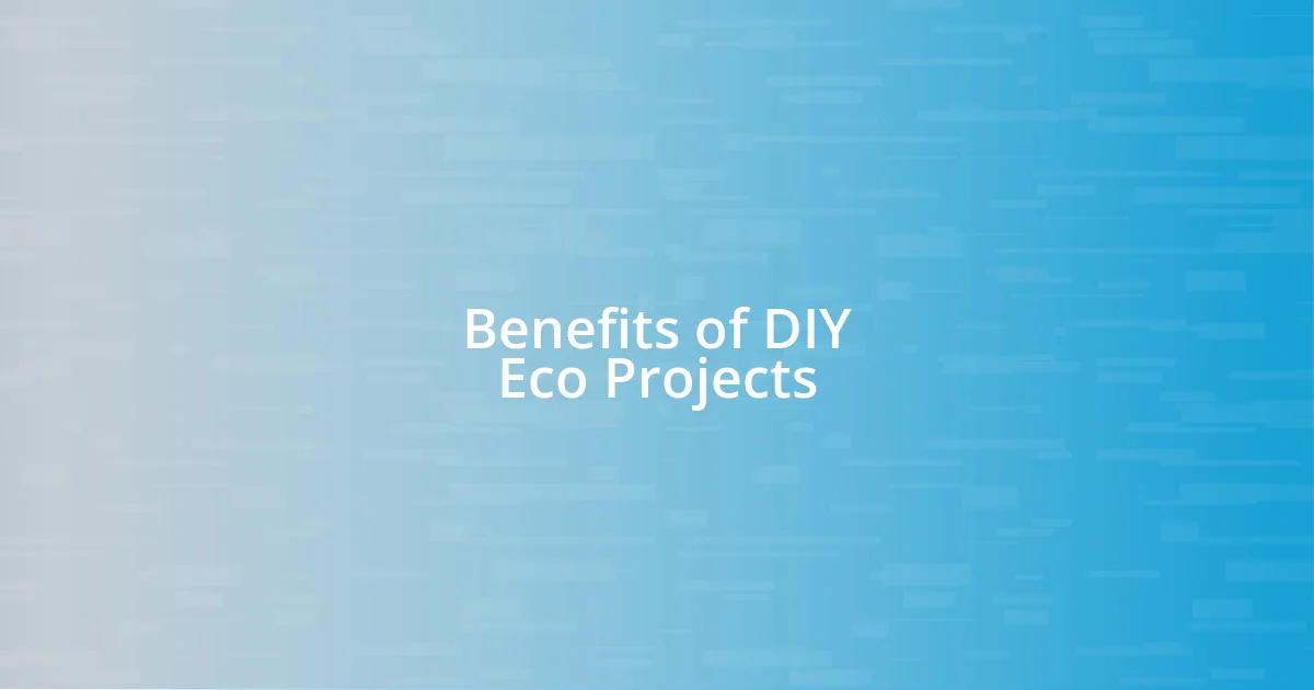 Benefits of DIY Eco Projects